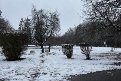 Zimní radovánky 11/25