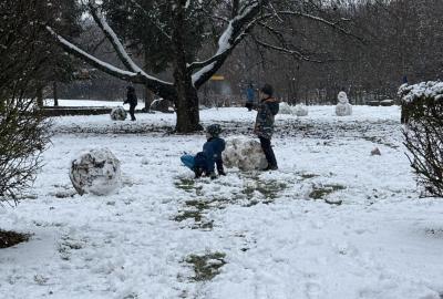 Zimní radovánky 11/25