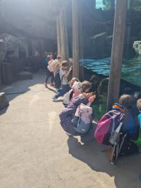 Návštěva zoo - výhra za sběr
2. 10. 2025
