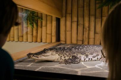 Týdenní plán 9_3-13_3