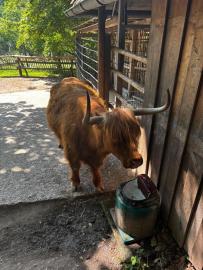 „Páťáci objevovali krásy Zoo Norimberk“